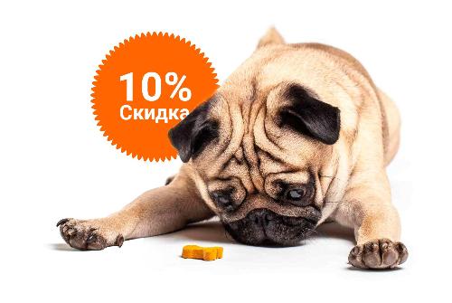 -10% на зоотовары акция в Екатеринбурге компании Инженер выгодно