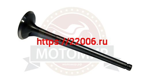 Клапан впускной CB250 см3 Zongshen ZS 170MM-2 (100061959) Клапан впускной CB250 см3 Zongshen ZS 170MM-2 (100061959)