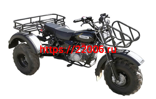 Трицикл ТРИТОН 3 (колеса 10"), СКАУТ 3Р-140