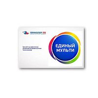 Карта условного доступа "ЕДИНЫЙ МУЛЬТИ" 1 год