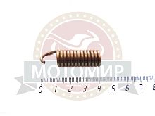 Пружина сцепления Минск нажимная 3,111-16122