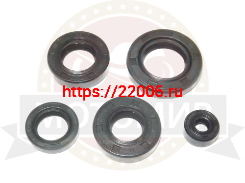 Набор сальников CBB250 см3 (5шт) Набор сальников CBB250 см3 (5шт)