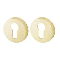 Накладка Armadillo (Армадилло) под цилиндр ET.R.URB52 (ET URB) SG матовое золото