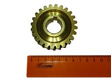 Шестерня червячного редуктора снегоуборочной л.с. машины 24 зуб. D22