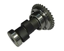 Распредвал в сборе со звездой 166FMM в сборе (E03-12, 14) (НАБОР)